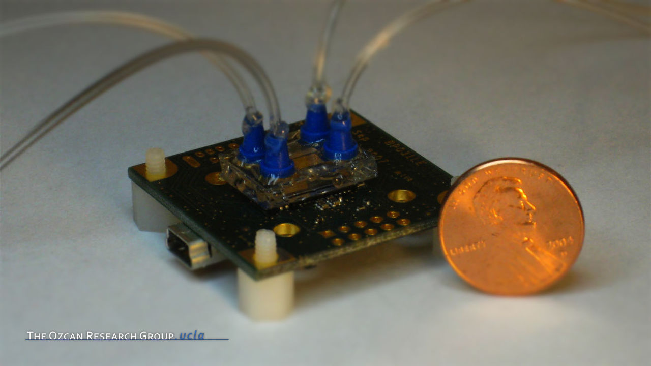 Lensfree Sensing on a Micro-fluidic Chip using Plasmonic Nano-apertures